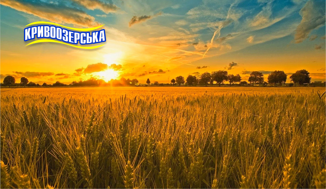 Прев'ю картинка для новини - З Святою Трійцею вас!